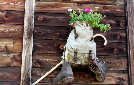 Re-use of camping equipment. This rucksack is now a flower pot.