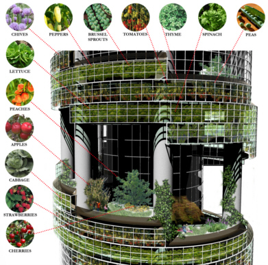 Vertical Farms may be used to grow crops in the future, they could also be used for hiking!